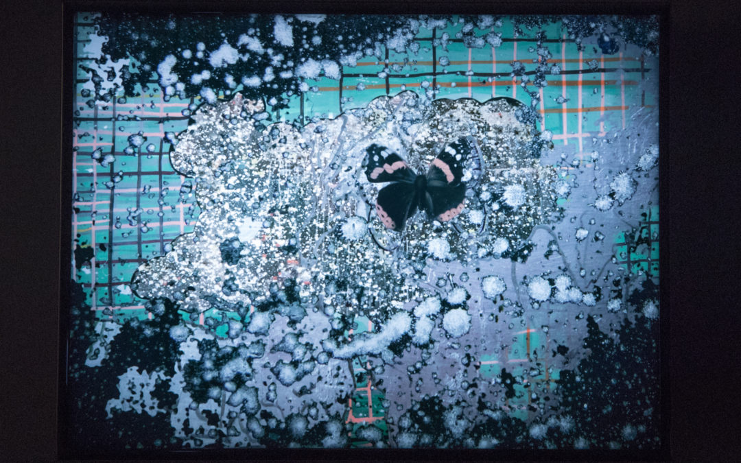 Voici le temps des assassins