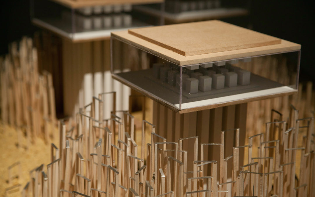 « Depuis les forêts »