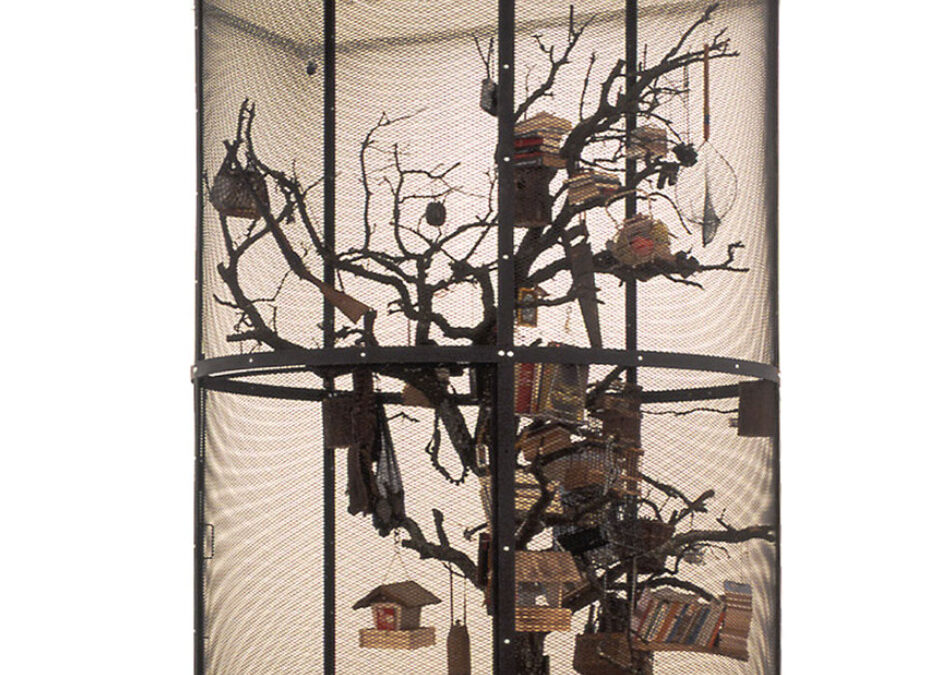 Mark Dion – Library for the birds of Paris & other fables