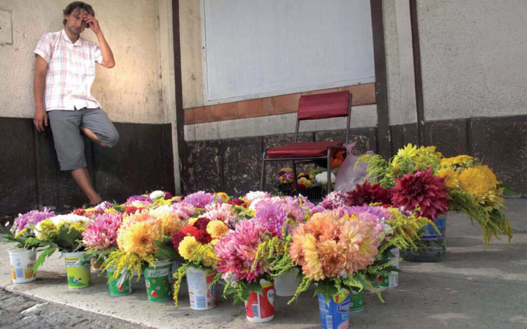 Alexandre Périgot – Jardin révolutionnaire avec moins de couleurs et plus de fleurs