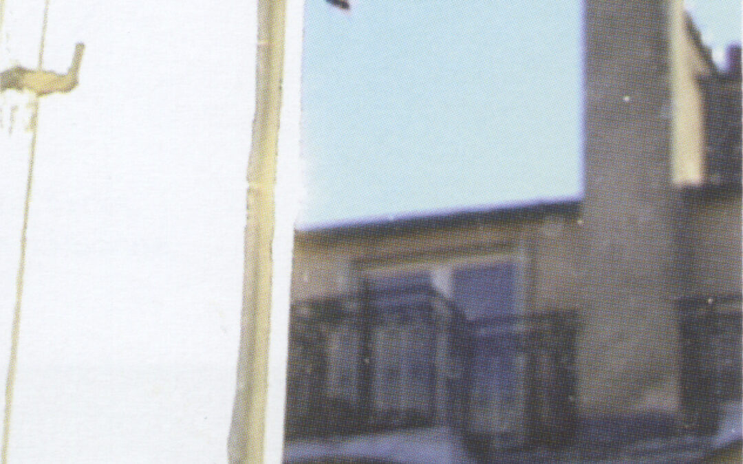 Marylène Negro – La Mouche